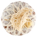 [Immagino] Parte inferiore planogramma