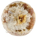 [Immagino] Parte inferiore planogramma