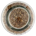 [Immagino] Parte inferiore planogramma