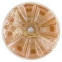 [Immagino] Parte inferiore planogramma