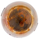 [Immagino] Parte inferiore planogramma