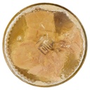 [Immagino] Parte inferiore planogramma