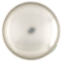 [Immagino] Parte inferiore planogramma