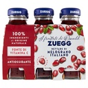 ZUEGG SUCCO MELOGRANO ML.125 PZ 6
