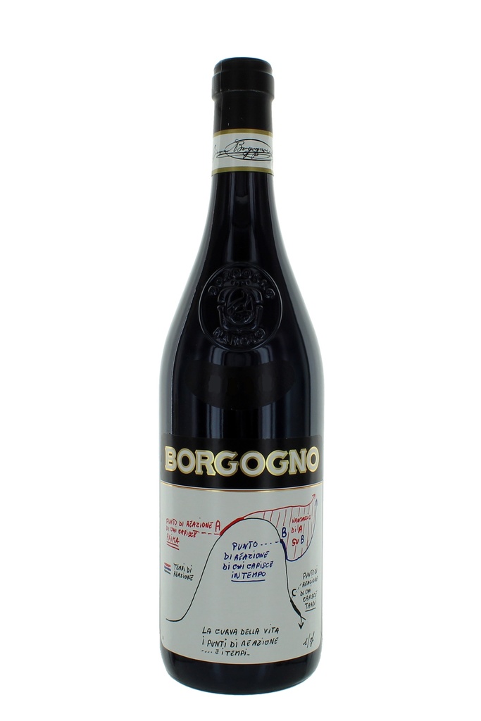 Giacomo Borgogno Le Teorie La Curva della Vita Barolo DOCG