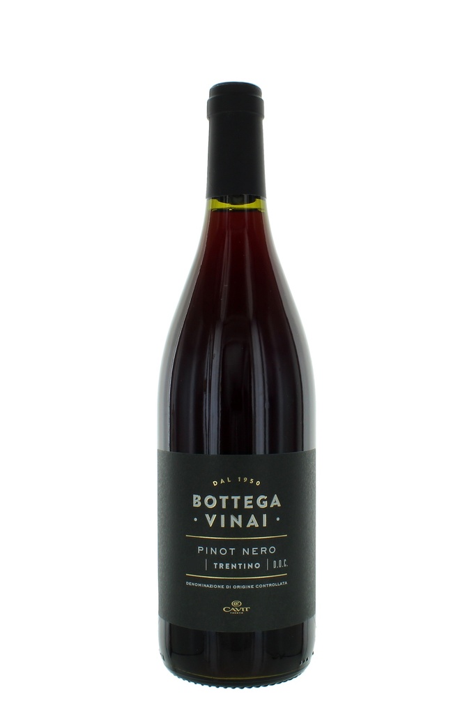 Cavit Bottega Vinai Pinot Nero Trentino DOC
