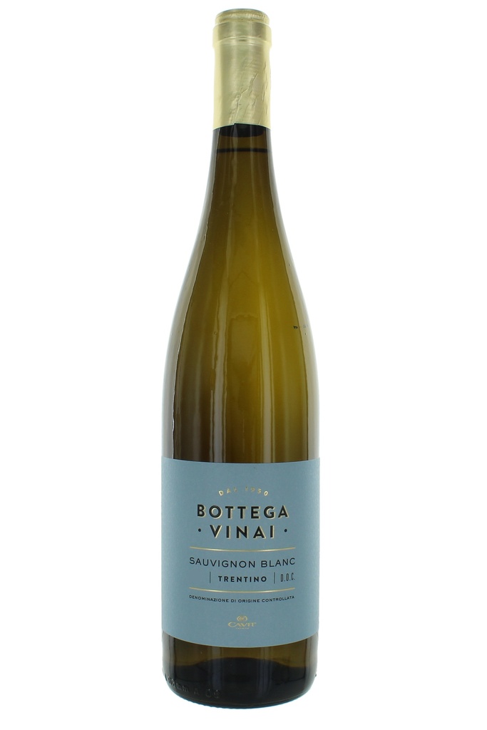 Cavit Bottega Vinai Sauvignon Blanc Trentino DOC