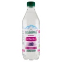 Levissima Acqua con Potassio Gusto Mora Cl.50