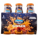 B.S. Bitter Ginger Ml.100 X Pz.6