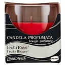 RELEVI FRESH CANDELA PROF.ASSORTITO FRUT TI/VANIGLI