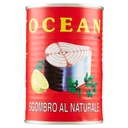 OCEAN MACKEREL SGOMBRI GR.400