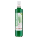 BELTION SCIROPPO MENTA ORZATA CL.50