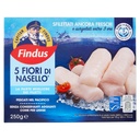 FINDUS FIORI DI NASELLO X5 GR.250