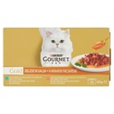 GOURMET GOLD DELIZIE SALMONE E TONNO GR. 85X4