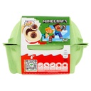 FERRERO KINDER JOY T2 . 10