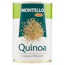 D'AMICO QUINOA GR 400 X| Imb. 12