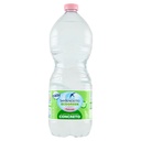 San Benedetto Acqua Minerale Naturale Benedicta Ecogreen Easy Lt.1