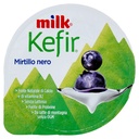 MILK KEFIR CREMOSO MIRTILLO GR.150