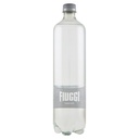 Fiuggi Acqua Minerale Naturale Lt.1