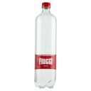 Fiuggi Acqua Vivace Pet Lt.1