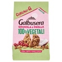 GALB.CEREALG GRANOLA MIRT.COC.300GR