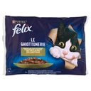 FELIX GHIOTTONERIE SALM&ZUC.4X85GR