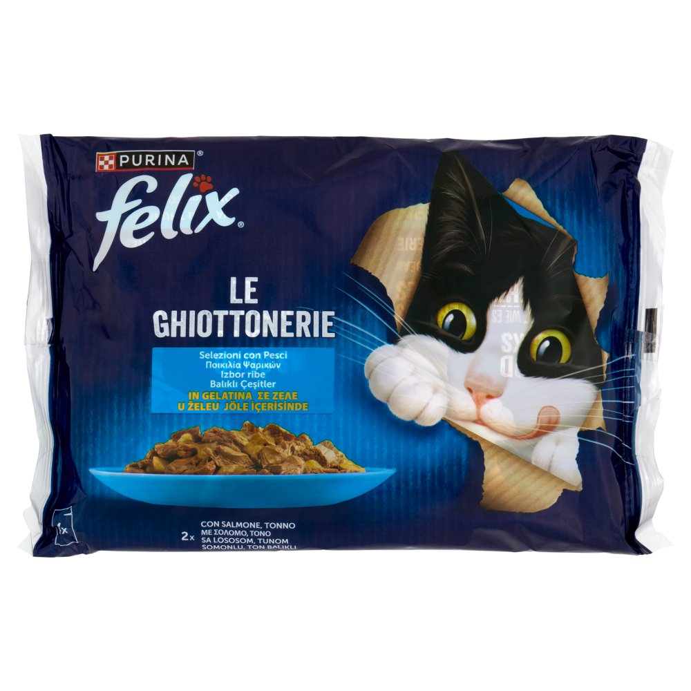 FELIX GHIOTTONERIE SAL&TONN.4X85GR