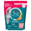 PURINA ONE BIFE.CAT SAL&CEREA.800GR