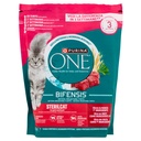 PURINA ONE BIFE.CAT MAN&FRUME.800GR