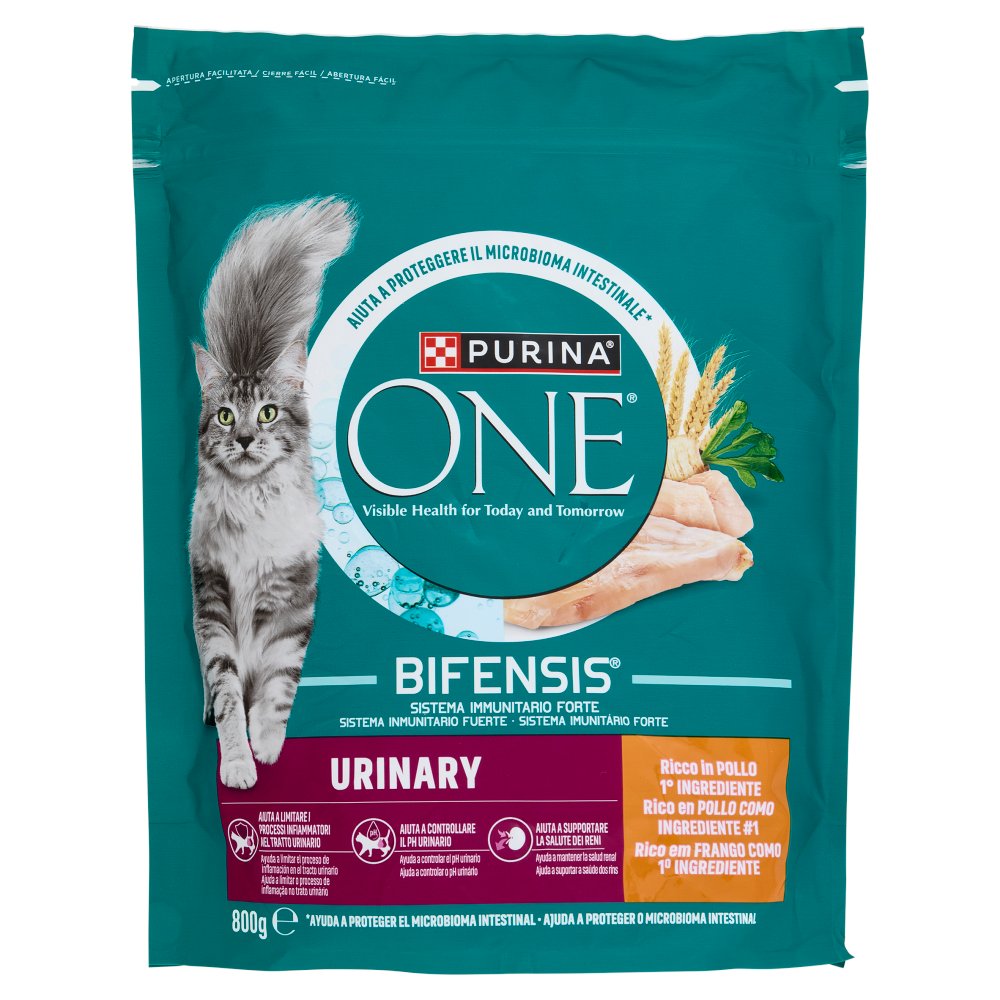 PURINA ONE BIFE.CAT POL&FRUME.800GR