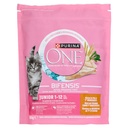 PURINA ONE BIFE.CAT POL&CEREA.800GR
