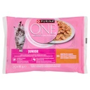 Purina One Junior per Gatto Cibo Umido con Pollo Pz.4 Gr.85