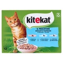 Kitekat Cibo Umido per Gatti con Salmone Pesce bianco e Merluzzo in Gelatina Pz.12 Gr.85