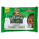 ULTIMA CAT EXPERT MANZO&SALM.4X70GR
