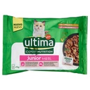 ULTIMA CAT EXPERT POLLO&SALM.4X70GR