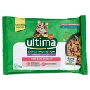 ULTIMA CAT EXPERT SALMO&TONN.4X70GR