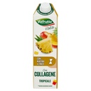 VALFR.VITALITA'COLLAG.TROP. BK 1LT