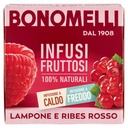 Bonomelli Infuso Ribes e Lampone 12 Filtri