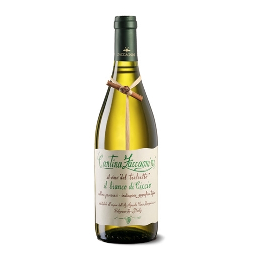 Zaccagnini Il Bianco di Ciccio Trebbiano D'Abruzzo Doc Cl.75 Vol.12°
