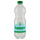 Gaudianello Acqua Minerale Effervescente Naturale dal Monte Vulture Cl.50
