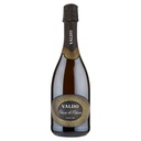 VALDO SPUMANTE BLANC DE BLANCS