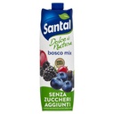 Santal Dolce Natura Bosco Mix senza Zuccheri Lt.1