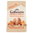 Galbusera Granola e Frolla con Albicocca, Arancia e Mandorle Gr.300