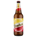 Dreher Birra Cl.66 Vol.4,7°