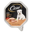 CESAR JUNIO CUCCIOLI VITEL E TACCHINO