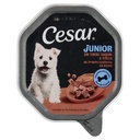 Cesar Junior Cibo Umido per Cane Vitello e Tacchino Gr.150