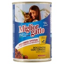 MIGLIOR GATTO BOCCONCINI AL CONIGLIO