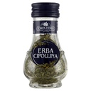 Queen Victoria Erba Cipollina Gr.12