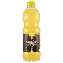 Spumador Sprint Go Limone Lt.1