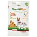 GIUNTINI BISCOTTI PLUM MINI GR.100